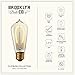 LED ST18 Teardrop Vintage Bulb Hairpin Filament Fully Dimmable 3W Edison Style Warm White E26 Standard Base, Brooklyn Bulb Co. Flatbush Design