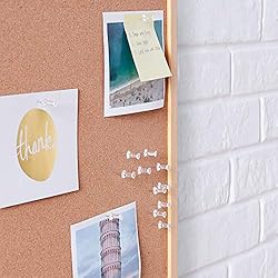 Amazon Basics Push Pins Tacks, Steel Point, Clear