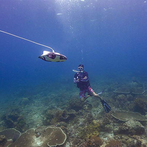PowerVision Powerray Wizard Underwater Drone with 4K UHD Camera, Fish Finder & VR Goggles for Diving and Boating