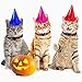 Frienda 4 Pieces Halloween Cat Collars Adjustable Breakaway Cat Collars with Bell Includes Pumpkin Ghost Cobweb Patterns for Halloween Party Cat Grooming Accessories