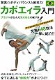 変幻自在の華麗なる足技 カポエィラ入門 [DVD]