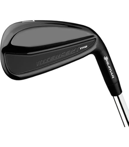 Amazon.com : 2018 PRGR Golf Japan 18RS Forged Iron Set #5-9,P(6