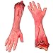 AW Halloween Severed Hands Feet Prank Props Bloody Broken Body Part Festival Decoration Party April Fool Day (Pack of 5) 2025