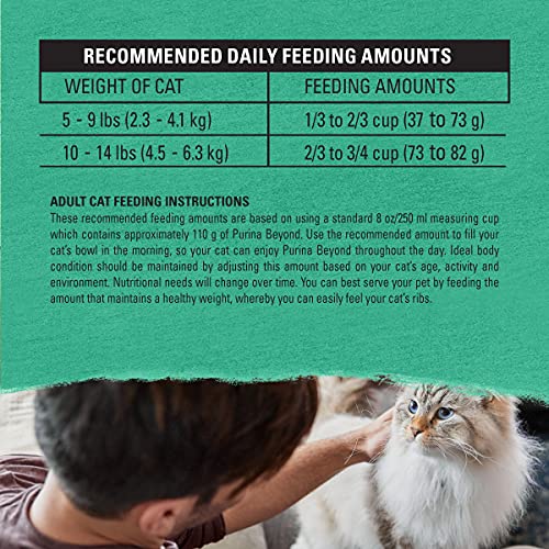 PURINA BEYOND NATURAL GRAIN FREE DRY CAT FOOD WHITEFISH AND EGG RECIPE WITH ADDED VITAMINS, MINERALS AND NUTRIENTS – 3 LB. BAG