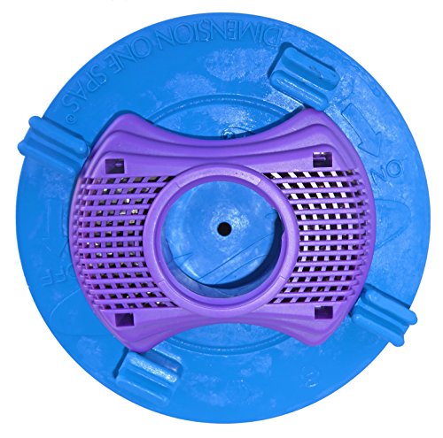 Dimension One Spas Vision Sanitizing System 01512-261 Vision Hot Tub Filter and Water Sanitizer