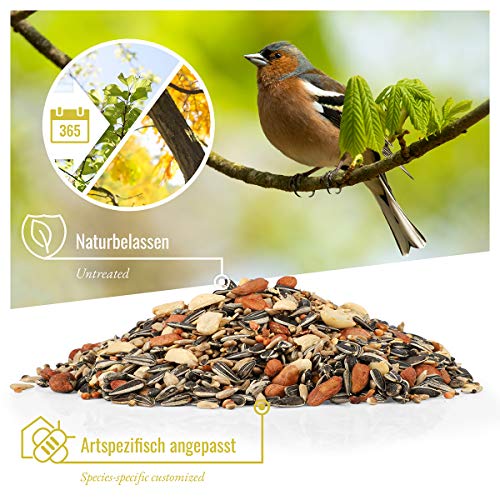 wildtier herz - Vogeltraum Premium Vogelfutter ohne Weizen für Wildvögel I Ganzjahresfutter mit Sonnenblumenkerne I Wildvogelfutter I Vogel Streufutter, Fettfutter für Vögel (2,5kg) – Bild 3