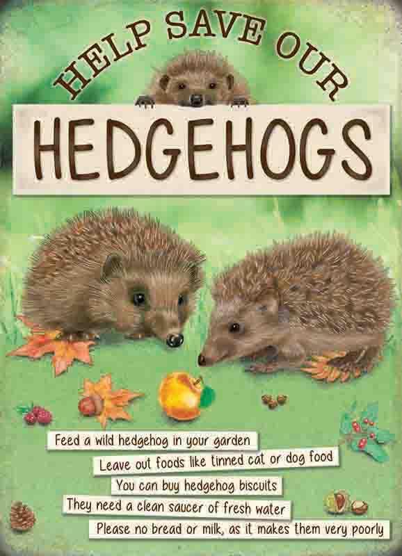 Small (150 x 200mm) Metal Sign - Help Save Our Hedgehogs