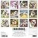 Just Bulldogs 2020 Wall Calendar (Dog Breed Calendar)
