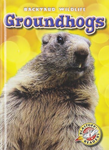 Groundhogs (Blastoff! Readers: Backyard Wildlife: Level 1 (Library))