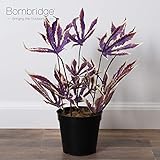 Bornbridge Artificial Marijuana Pot Leaf Plant