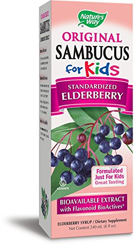 Nature's Way Sambucus Elderberry Immune Syrup for Kids Ages 2+, with Echinacea & Propolis, Immune Support Syrup*, Vegetarian, Berry Flavored, 8 Fl Oz
