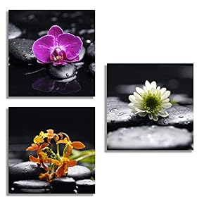 SIGNFORD 3 Piece Canvas Wall Art for Living...