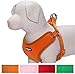 Blueberry Pet 4 Colors Better Basic Dog Harness Vest, Orange Fusion, Chest Girth 16