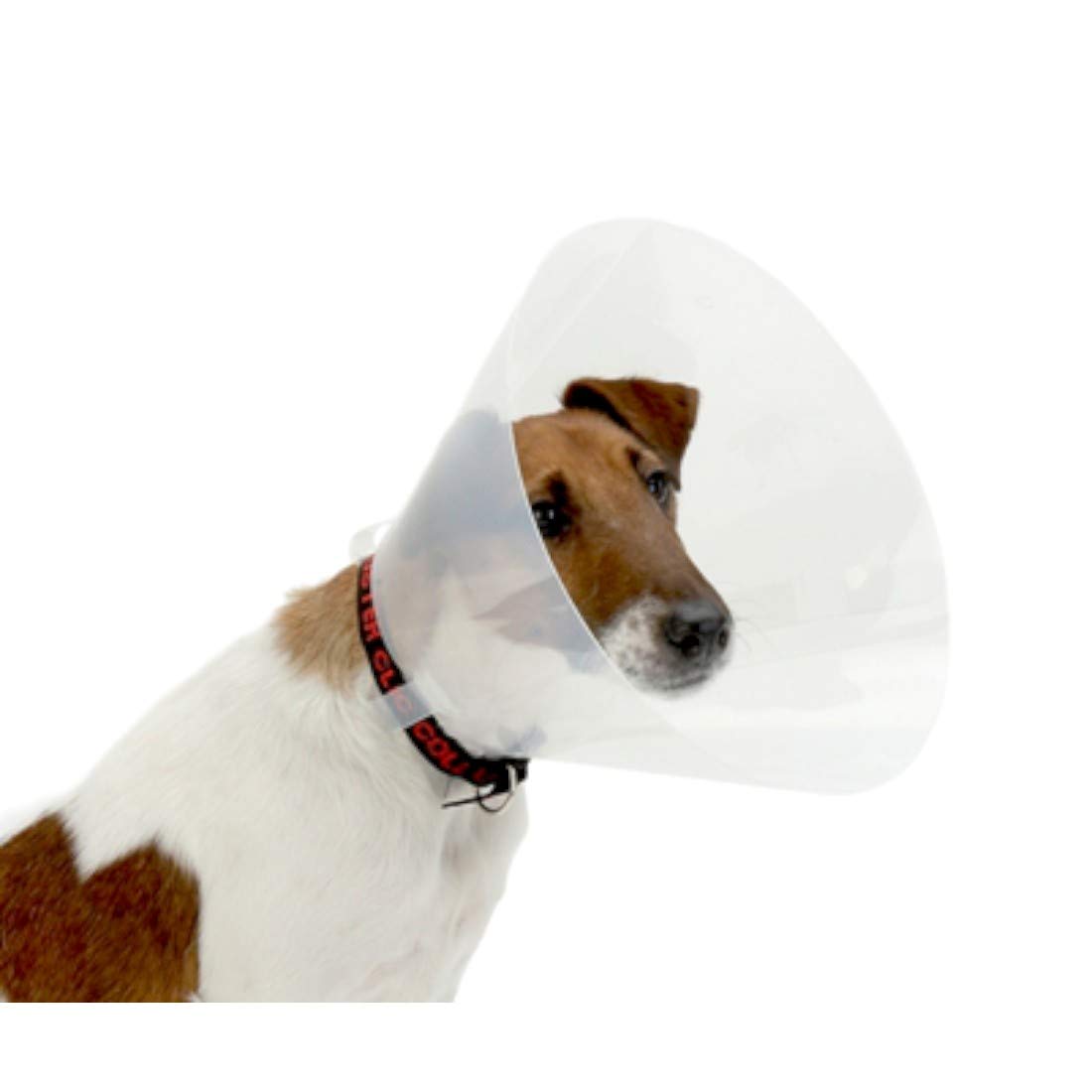 Croci - Elizabethan collar for dogs size S, cone-shaped Elizabeth collar for the protection and care of dogs and cats, prevents scratches, bites and licks, 12.5 cm