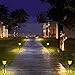 Geloo Solar Lights Outdoor, Solar Pathway Lights Outdoor Garden Lights Landscape Lighting Weatherproof Auto On/Off for Lawn Patio Yard Walkway Sidewalk Driveway, Warm White