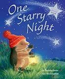 One Starry Night