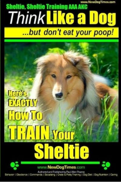 akc marketplace shelties