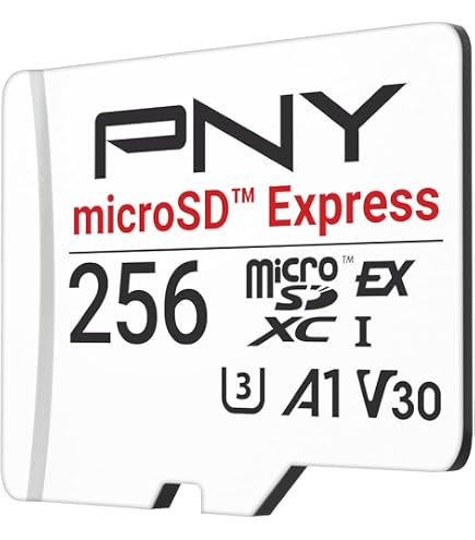 SanDisk Cartão expresso microSD de 128 GB - Funciona com Nintendo