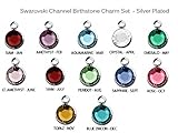 12pc Set of Swarovski Birthstone Channel Charms Silver Plated