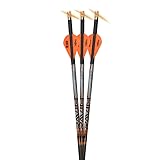Ravin .001 Premium Match-Grade Lighted Crossbow Bolts