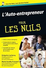L' auto-entrepreneur pour les nuls