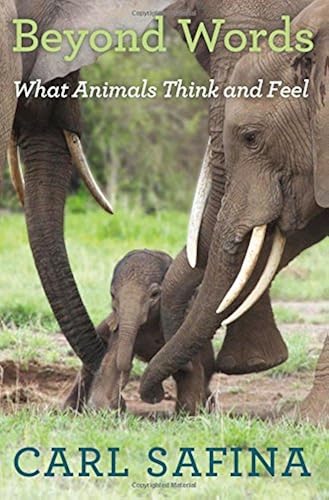 Download Beyond Words: What Animals Think and Feel PDF