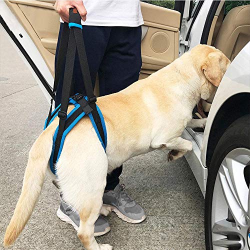 KOBWA Dog Lift Dog Mobility Lift Support Harness for for Hip Assist Stability Injured Disabled Arthritis ACL Joint Pain Elderly(L Size)