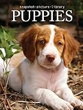 Snapshot Picture Library Puppies