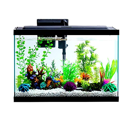 Aquarium Starter Kit 29 Gallon with Led Light Contains Samples of Tetra Food and Water Care – Skroutz Deals