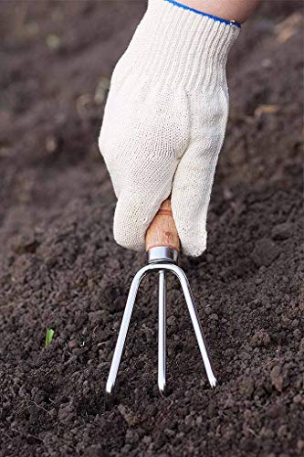 DeoDap 3Pcs Gardening Tools kit for Home | Hand Cultivator | Hand Trowel | Garden Fork | Gardening Set with Smooth Finish, Durable and Sturdy Wooden Handles with Rust Free Material | Set of 3pcs | 6 DeoDap 3Pcs Gardening Tools kit for Home | Hand Cultivator | Hand Trowel | Garden Fork | Gardening Set with Smooth Finish, Durable and Sturdy Wooden Handles with Rust Free Material | Set of 3pcs | - Image 6