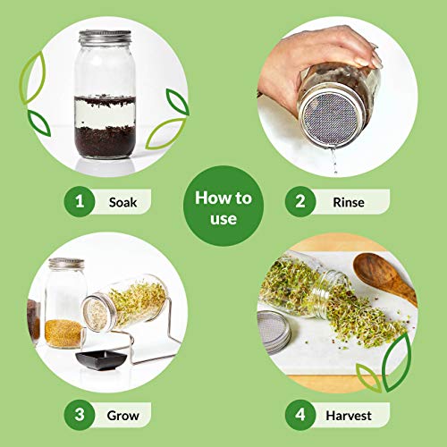 1 Pack Seed Sprouting Jar Kit Complete Indoor Growing Set for Making Sprouts Easy Fresh
