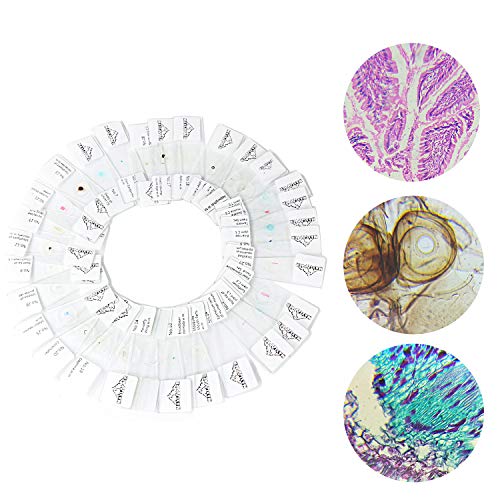 3 MAXLAPTER+Microscope+Prepared+Students+Education