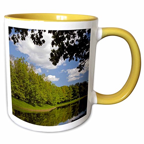 3dRose Danita Delimont - Palaces - Russia, Pushkin, Great Pond at Catherine Palace - EU26 KWI0052 - Kymri Wilt - 11oz Two-Tone Yellow Mug (mug_138765_8)