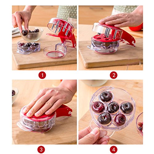 4 Amytalk+Cherry+Pitter+Multiple+Cherrystone
