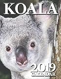 Koala 2019 Calendar by