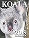 Koala 2019 Calendar by
