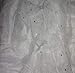 Jeweled Bling Princess Canopy By Sid (White)