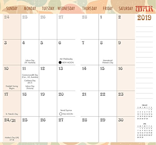 Pattern 2018 Checkbook/2 Year Pocket Planner Calendar (CC0286)