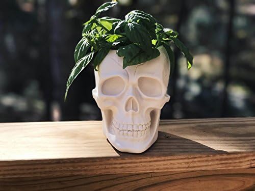 Skull Planter - Large Skull Flower Pot - Succulent Planter - Air Plant Holder - Planter - Skull Head Sculpture - Home Decor - Skull Decor - Flower Pot - Cacti Planter