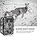 FUNSHION Trail Game Camera, 16MP 1080P Trail Cameras with Night Vision Motion Activated Waterproof IP66 2.4’’ LCD Hunting Scouting Cam for Wildlife Monitoring 120°Detecting Range 42pcs IR LEDs