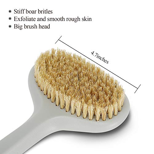 Body Brush for Dry or Wet Brushing,Stiff Bristles for Dry Skin Body Exfoliator,Shower and Bath Scrubber for Wash Brushing, Exfoliating,Leg Exfoliant Massage Plastic Long Handle (Grey)