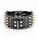 Vvhome 4 Rows Spiked Golden Rivets Studded Leather for Dog Collar (Black, M)