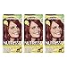 Garnier Nutrisse Nourishing Hair Color Creme, 76 Rich Auburn Blonde (Hot Tamale), 3 Count (Packaging May Vary)