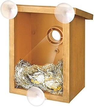NIDO DE PAJAROS - INTERHOME©: Amazon.es: Productos para mascotas