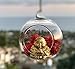 Sea View Treasures 6 Bulk 4” Round Glass Decorative Hanging Craft Balls/Terrarium