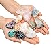 Top Plaza Mineral Rock Variety Tumbled Rough Gemstone Meteorite Fragment Healing Energy Raw Crystal Collection Bulk(5 pcs Rough Irregular Shape Stones)
