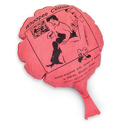 Loftus Whoopee Poo Cushion