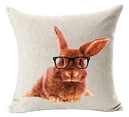 Amazon Com Nordic Ink Painting Animal Adorable Funny Bunny Rabbit