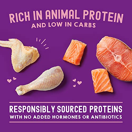 STELLA & CHEWY’S CARNIVORE CRAVINGS MORSELS & GRAVY CHICKEN & SALMON RECIPE WET CAT FOOD POUCHES – (2.8 OUNCE POUCH, CASE OF 12)