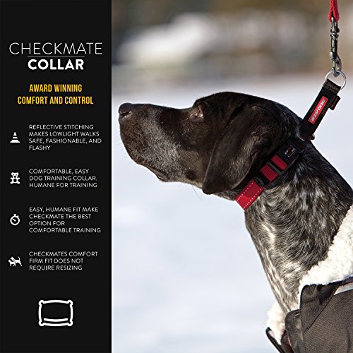 EzyDog Checkmate MartingaleStyle Premium Nylon Safety Training and